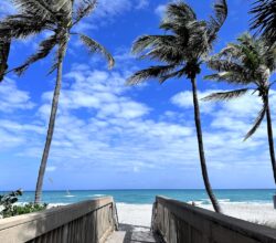 How to Plan a Budget-Friendly Family Vacation in Florida